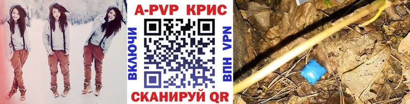A PVP крисы CK Зарайск