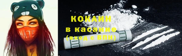 твердый Каменск-Шахтинский
