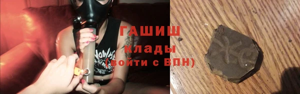 стаф Каменногорск
