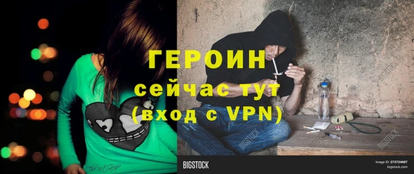 стаф Каменногорск