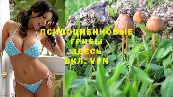 твердый Каменск-Шахтинский